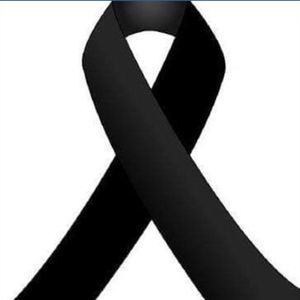 Meet your Posher, Dori